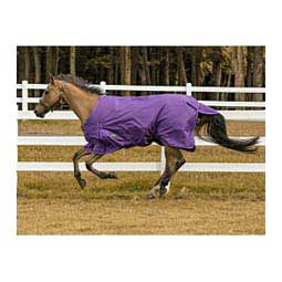 TuffRider Comfy 600D Winter Horse Blanket Purple - Item # 46912
