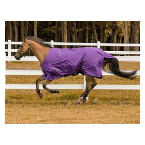 Comfy 600D Winter Horse Blanket Purple - Item # 46912