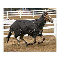 TuffRider All Season Horse Blanket Black - Item # 46914