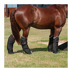 Horse Shipping Boots Black - Item # 46951