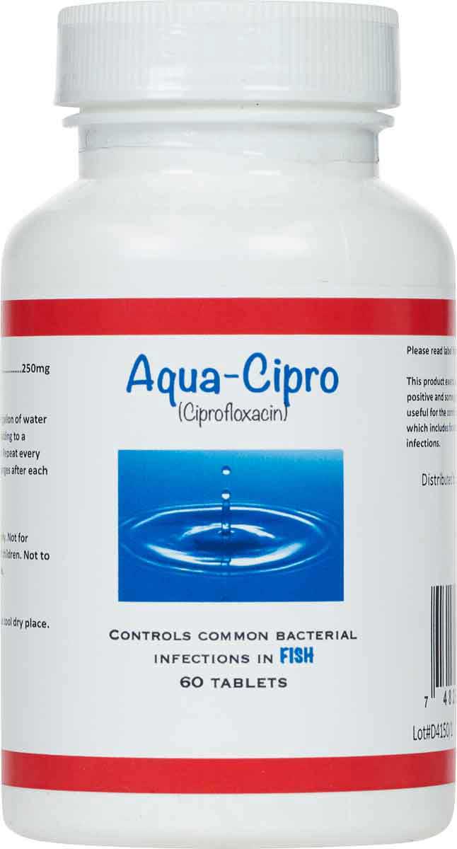 Aqua-Cipro Fish Antibiotic Brand May Vary - Antibiotics | Pet