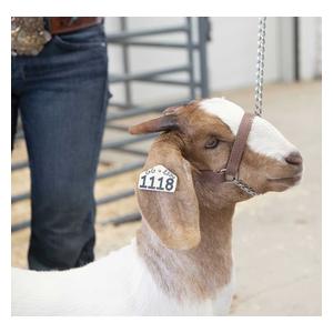 Brahma Webb Goat Halters Brown - Item # 47020