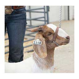Brahma Webb Goat Halters Brown - Item # 47020