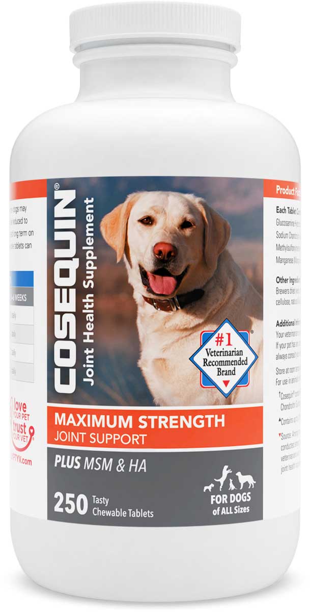 is cosequin ds safe for dogs