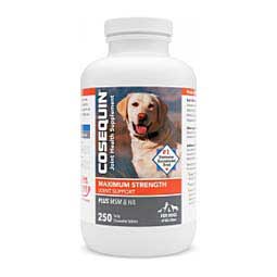 Cosequin Maximum Strength Joint Health Supplement Plus MSM and HA for Dogs 250 ct - Item # 47043