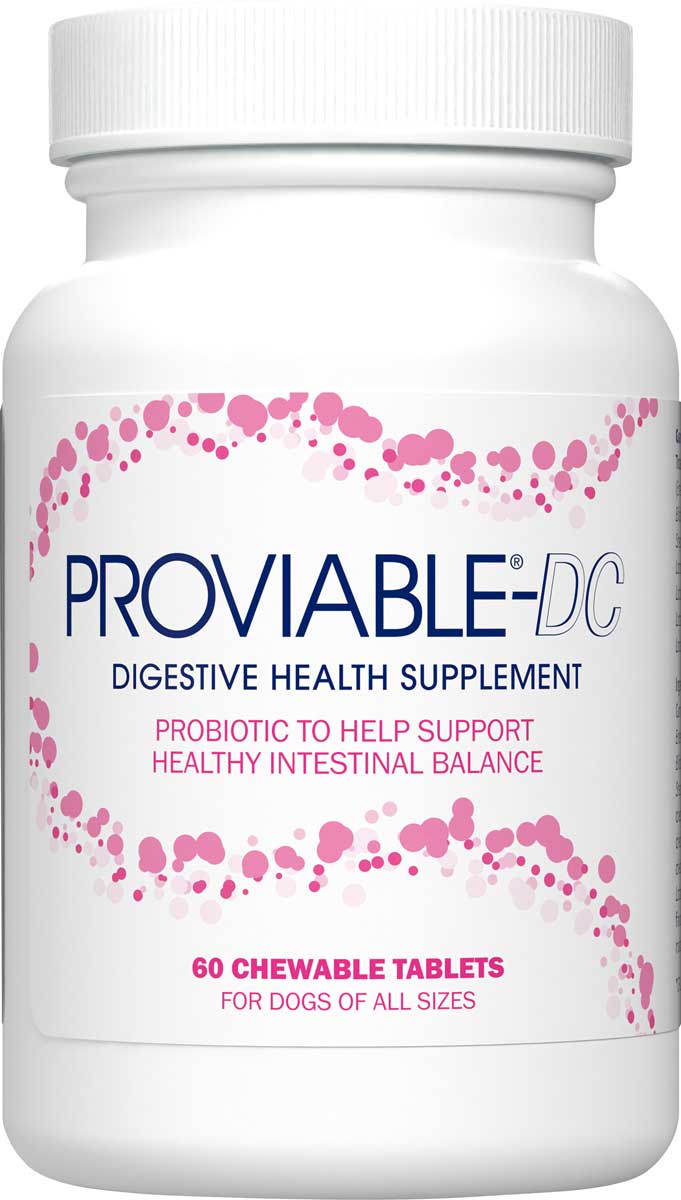 proviable-dc-digestive-health-chewable-tablets-for-dogs-nutramax
