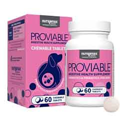 Proviable-DC Digestive Health Chewable Tablets for Dogs 60 ct - Item # 47046