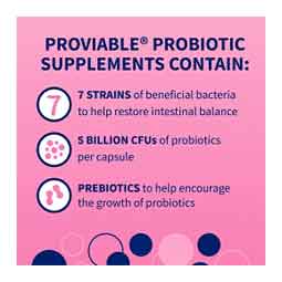 Proviable-DC Digestive Health Chewable Tablets for Dogs 60 ct - Item # 47046