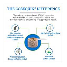 Cosequin ASU Joint Health Pellets for Horses 1420 gm - Item # 47047