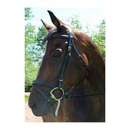Henri De Rivel Pro Padded Dressage Bridle with Flash and Web Reins Black/Black - Item # 47123