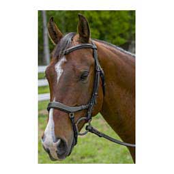 Henri De Rivel Pro Anatomical Horse Bridle Black - Item # 47126