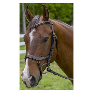 Henri De Rivel Pro Anatomical Horse Bridle Havana Brown - Item # 47126