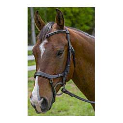 Henri De Rivel Pro Anatomical Horse Bridle Havana Brown - Item # 47126