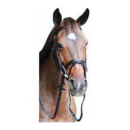Henri De Rivel Pro Piaffe Mono Crown Horse Bridle with Flash Noseband Black - Item # 47135