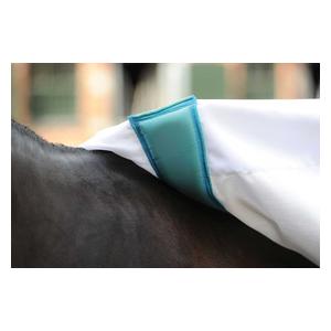 Comfitec Sweet Itch Shield Combo Horse Fly Sheet White/Blue - Item # 47241C