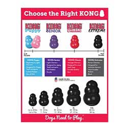 Kong Extreme Dog Toy S (up to 20 lbs) - Item # 47253
