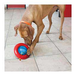 Kong Gyro Dog Toy L (35 lbs +) - Item # 47261