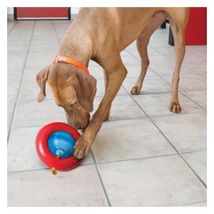 Kong Gyro Dog Toy L (35 lbs +) - Item # 47261
