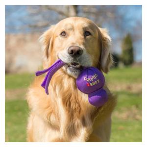Kong Wubba Classic Dog and Horse Toy S for dogs (9 in) - Item # 47265