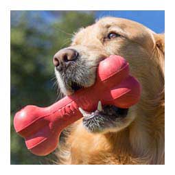 Kong Goodie Bone L (3.35'' x 8.50''  x 2.25'') - Item # 47277