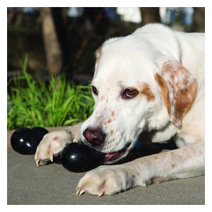Kong Extreme Goodie Bone Black L (3.35 x 8.50 x 2.25 in) - Item # 47278