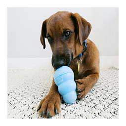 Kong Puppy Dog Toy Blue M (15 to 35 lbs) - Item # 47280