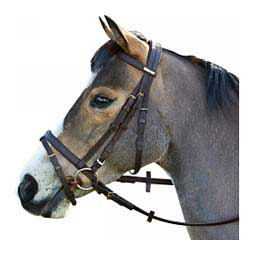 Wintec Bridle With Flash Brown - Item # 47304
