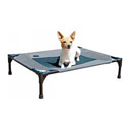 Pet Cot Elevated Dog Bed Gray/Black - Item # 47384