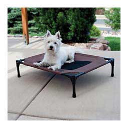 Pet Cot Elevated Dog Bed Chocolate/Black - Item # 47384