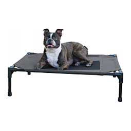 Pet Cot Elevated Dog Bed Charcoal/Black - Item # 47384