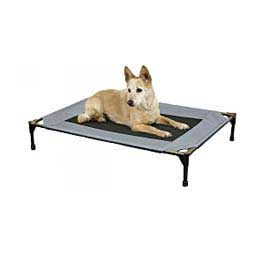 Pet Cot Elevated Dog Bed Gray/Black - Item # 47385