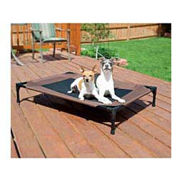 Pet Cot Elevated Dog Bed Chocolate/Black - Item # 47385