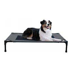 Pet Cot Elevated Dog Bed Charcoal/Black - Item # 47385