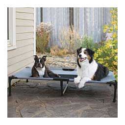 Pet Cot Elevated Dog Bed Gray/Black - Item # 47386