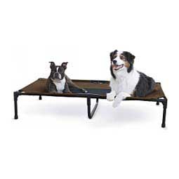 Pet Cot Elevated Dog Bed Chocolate/Black - Item # 47386