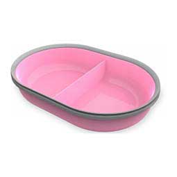 SureFeed Pet Bowl and Mat Set Pink - Item # 47410