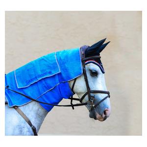 Carry-Cool Sport Horse Cooling Kit Blue - Item # 47439