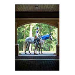 Carry-Cool Sport Horse Cooling Kit Blue - Item # 47439