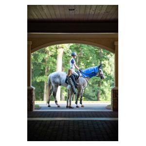 Carry-Cool Sport Horse Cooling Kit Blue - Item # 47439