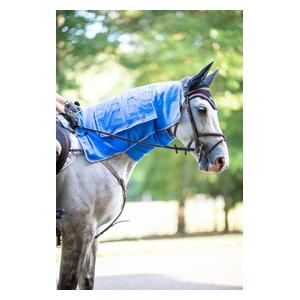 Carry-Cool Sport Horse Cooling Kit Blue - Item # 47439