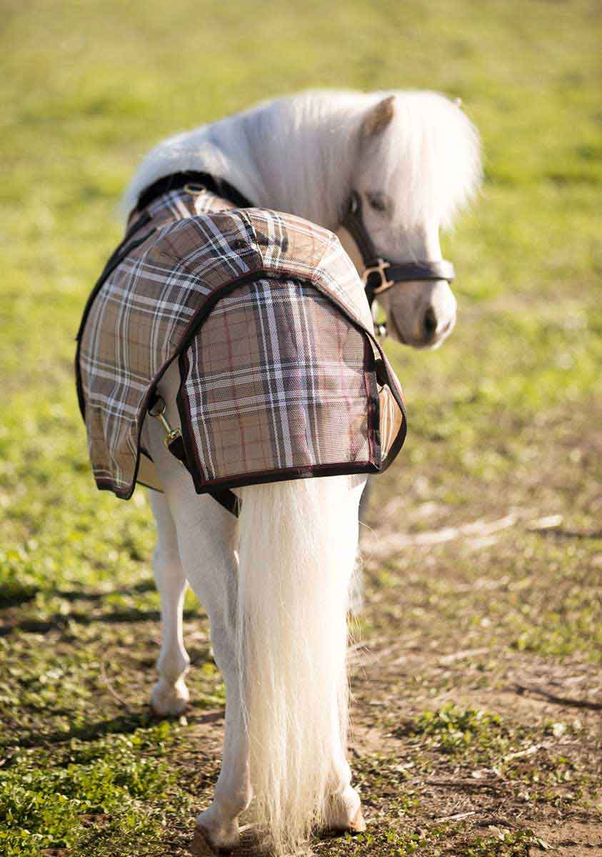 Protective Mini Horse Fly Sheet Kensington Fly Sheets Fly Control