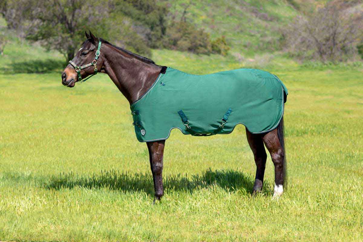 SureFit Poly Cotton Blend Horse Stable Sheet Kensington Sheets