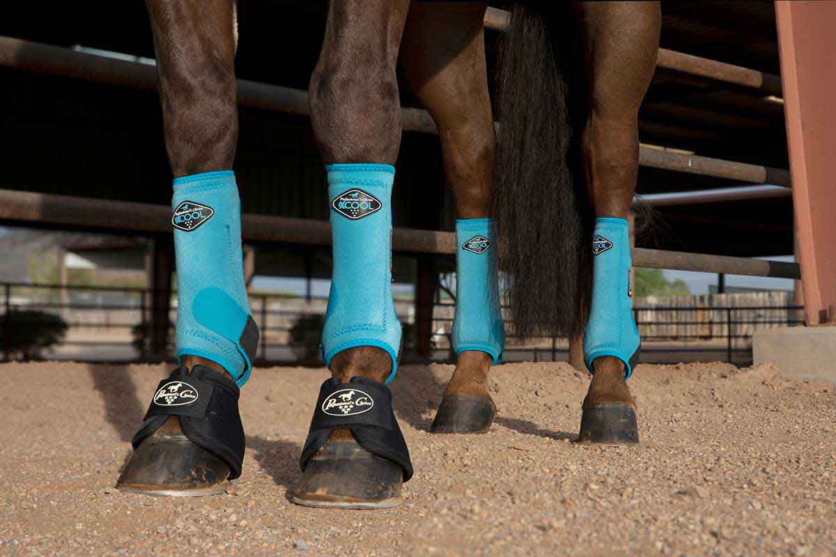 Neoprene Lined Combination Sport Splint Bell Horse Boots BLACK BLUE PURPLE TEAL 