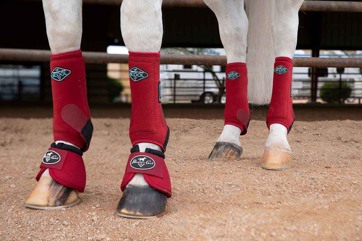 Professional Equine Splint Boots MED 2-PACK FRONT LEGS Quick-Release BRIGHT RED 