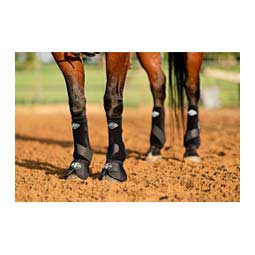 2XCool Sports Medicine Horse Boots Value Pack Black - Item # 47540