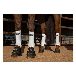 2XCool Sports Medicine Horse Boots Value Pack White - Item # 47540