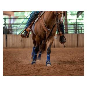 2XCool Sports Medicine Horse Boots Value Pack Navy - Item # 47540
