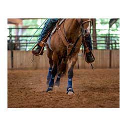 2XCool Sports Medicine Horse Boots Value Pack Navy - Item # 47540