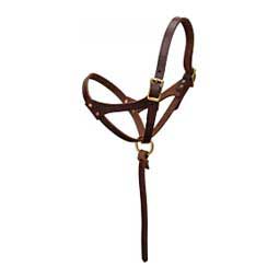 Figure 8 Foal Horse Halter Oiled Canyon Rose Leather - Item # 47633