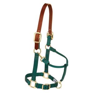 Breakaway Horse Halter with Adjustable Chin and Throat Snap Hunter Green - Item # 47634